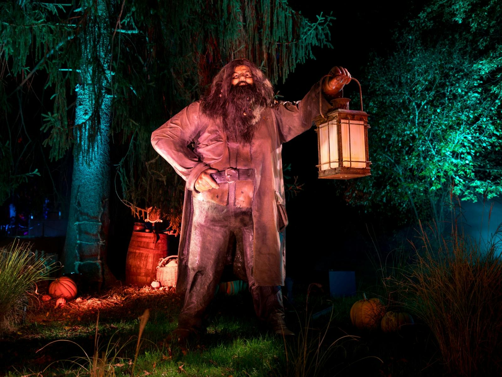 Harry Potter: A Forbidden Forest Experience