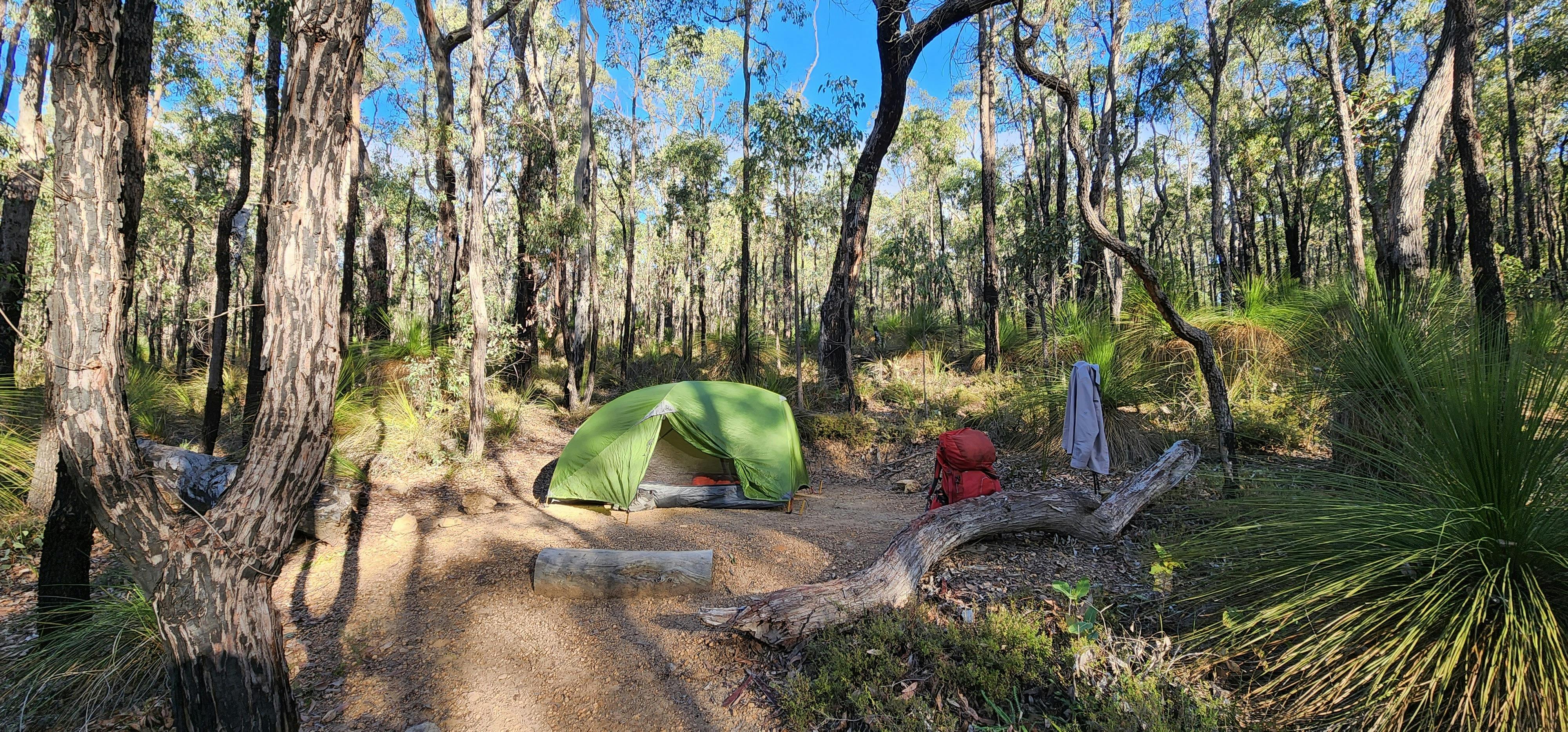 Tent set up in the afternoon sun in the middle of the forest