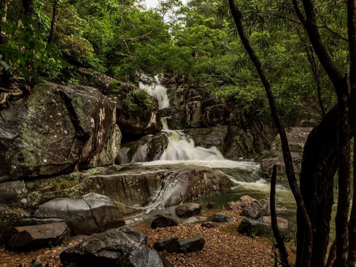 tours of north queensland