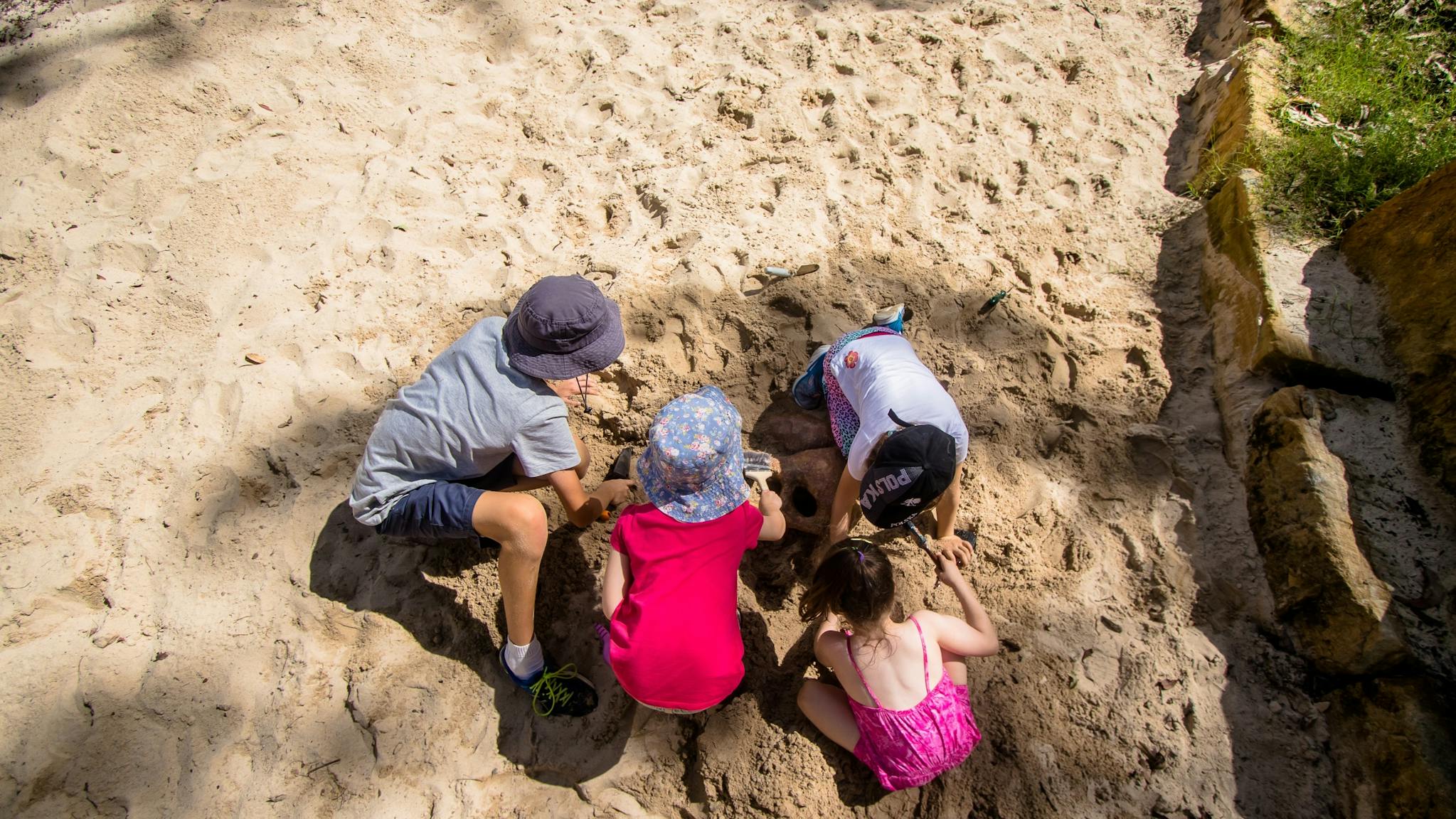 Four kids, three girls and one boy, are digging together for fossils in a large sand pit.
