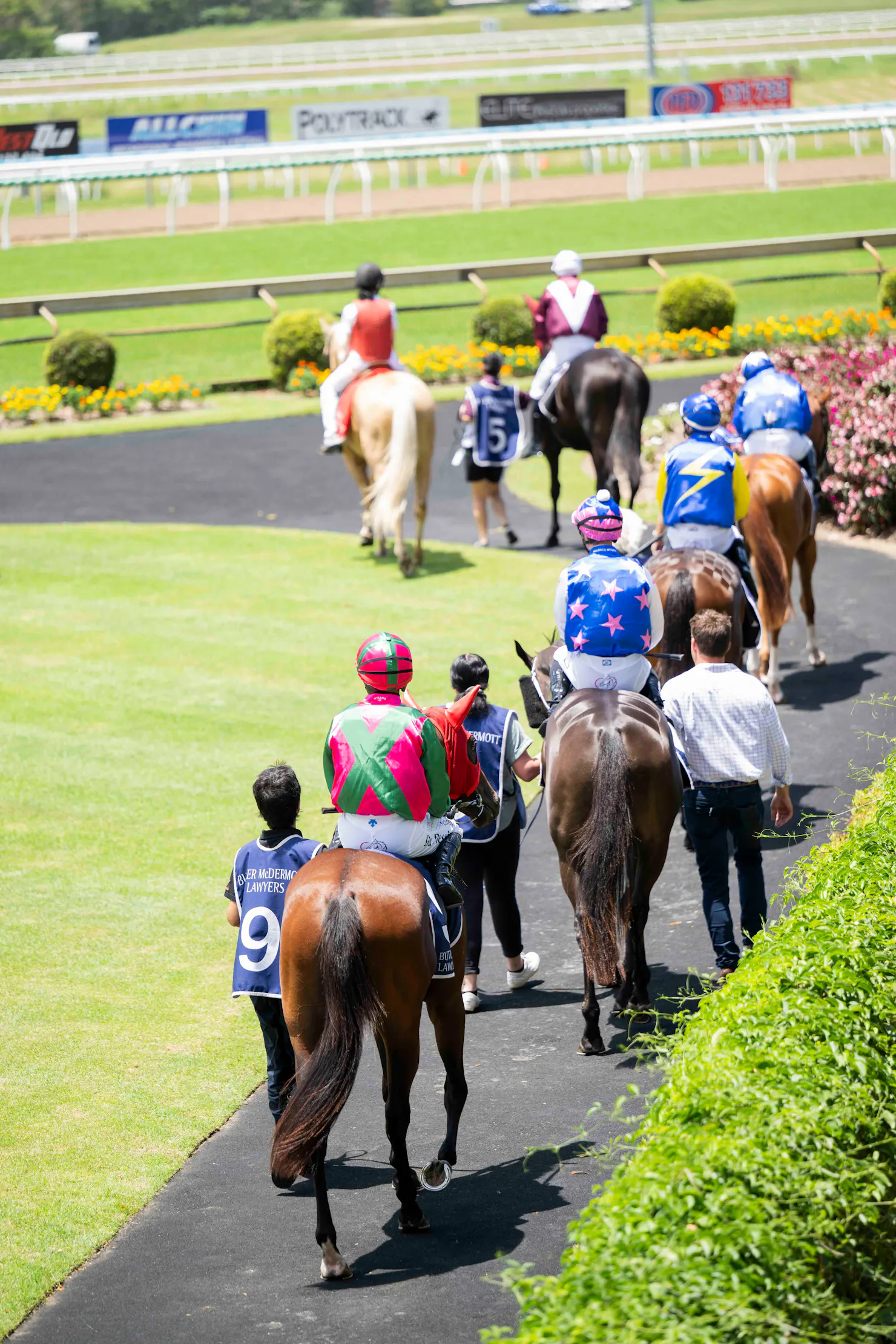 horses and jockeys parading in the mounting yard