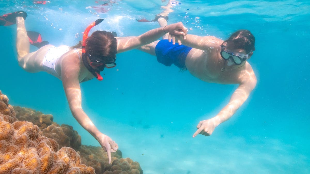 Young couple snorkelling in clear water with corals in foreground
