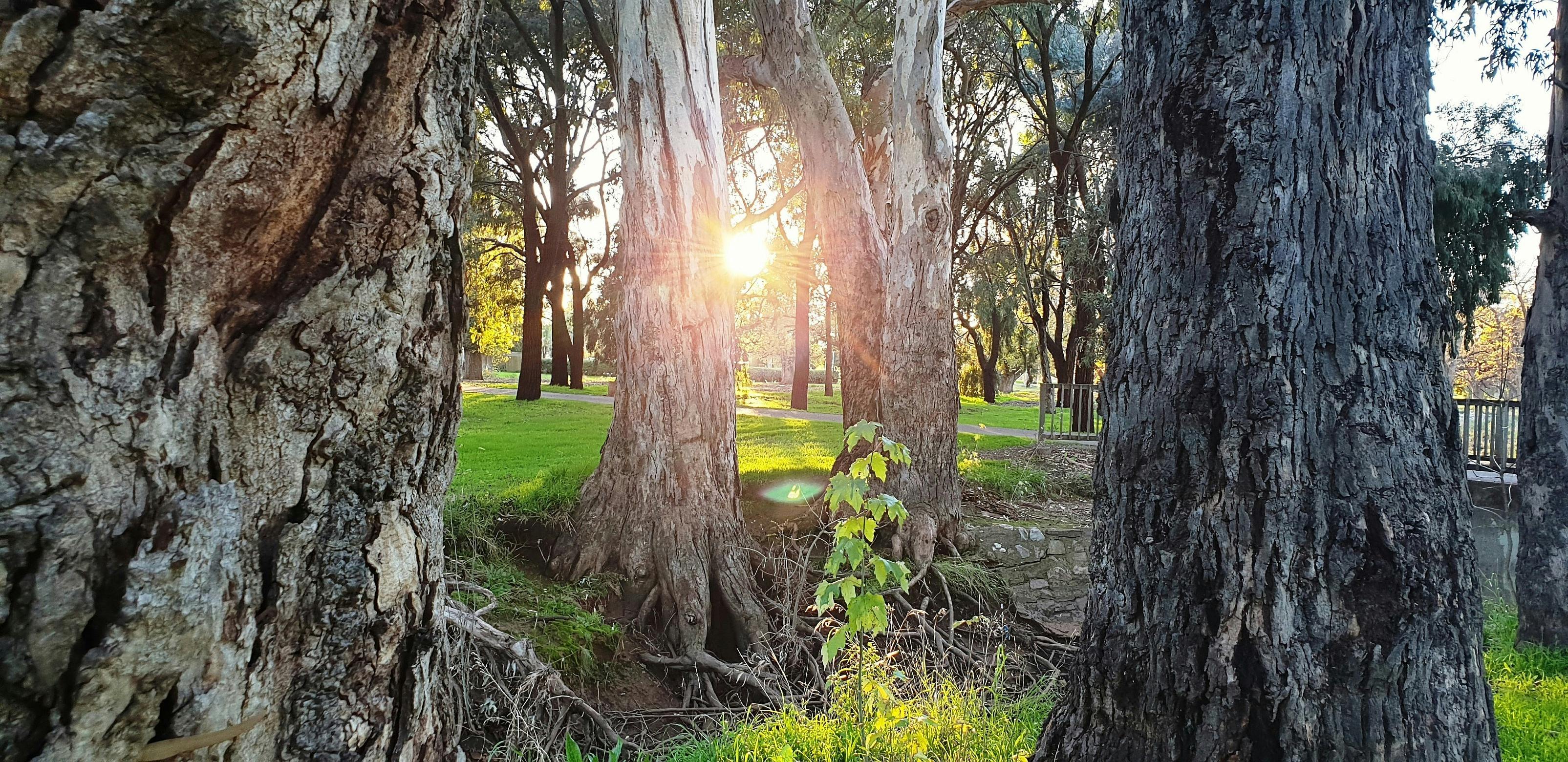 Carriageway Park / Tuthangga (Park 17)