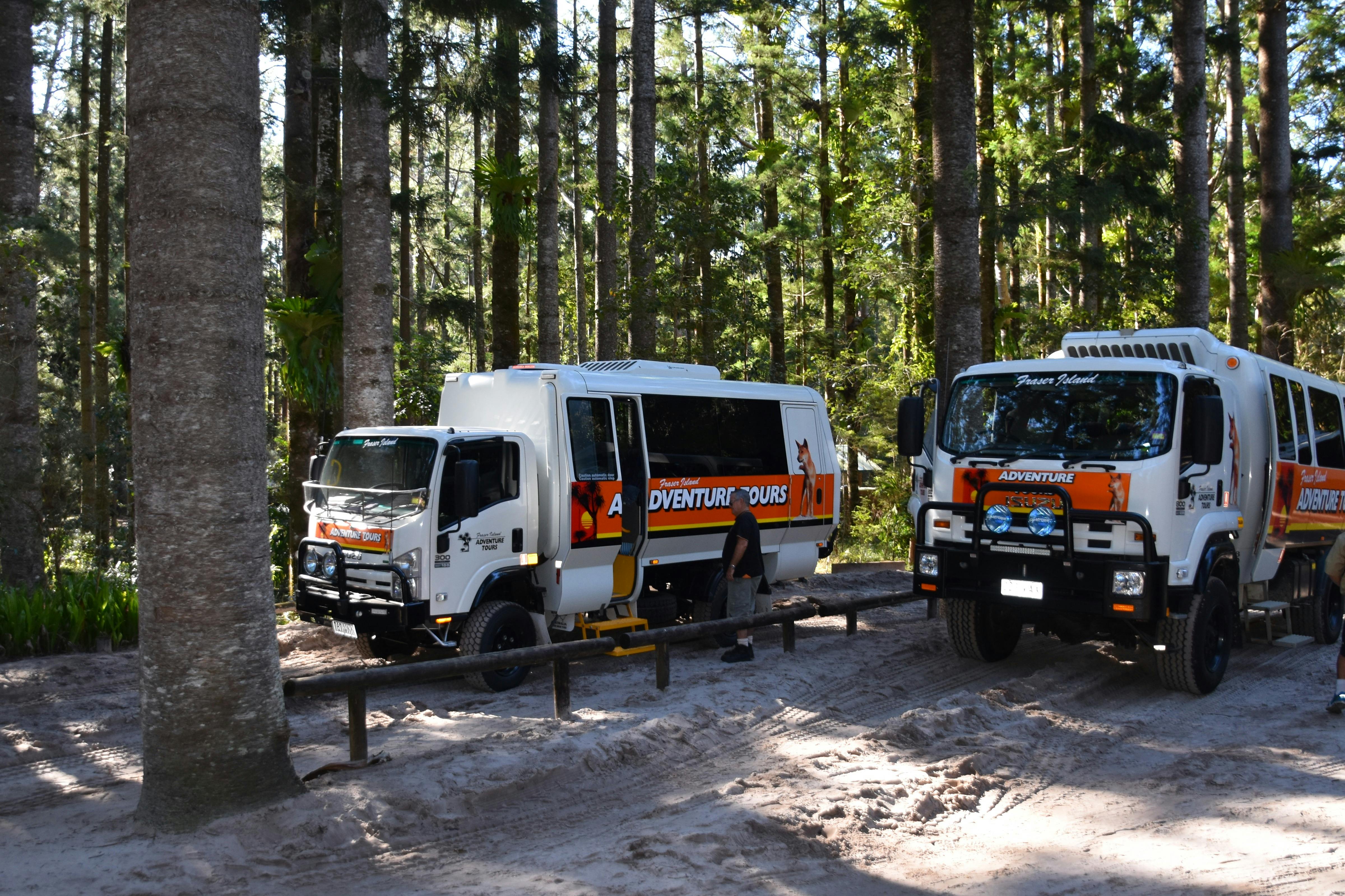 4WD tour buses at Central Station - rainforest walk here