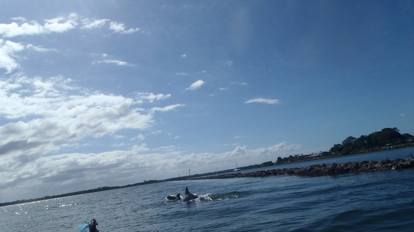 AAA Kayak Tours Iluka - Action Adventure Activities