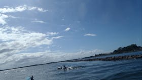 AAA Kayak Tours Iluka