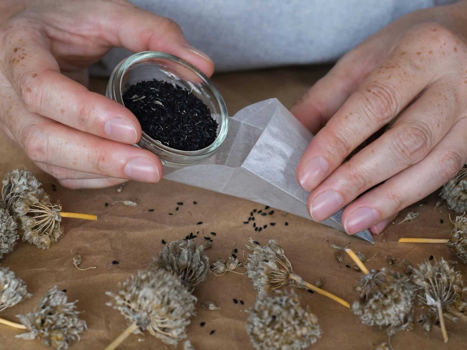 The hands of someone putting a small bowl of seeds into a small packet