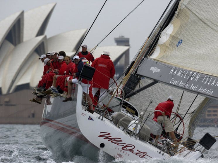 Rolex Yacht Race Sydney Harbour