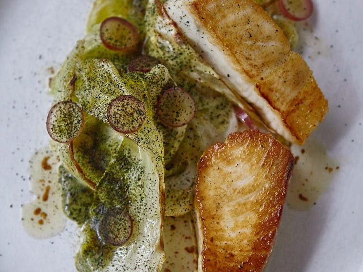 Spanish Mackerel + Savoy Cabbage + Red Grapes