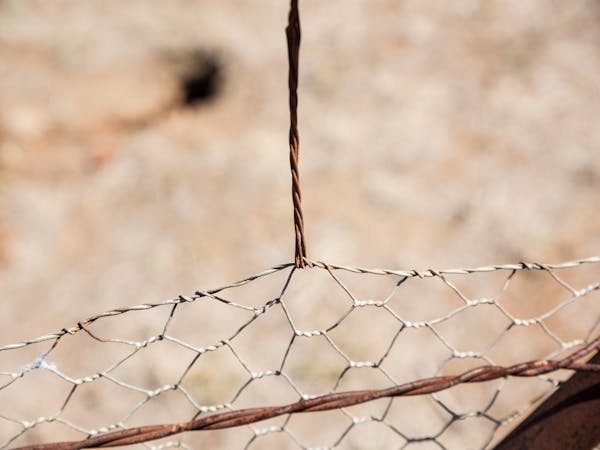 Leichhardt Rabbit Board fence, Morven