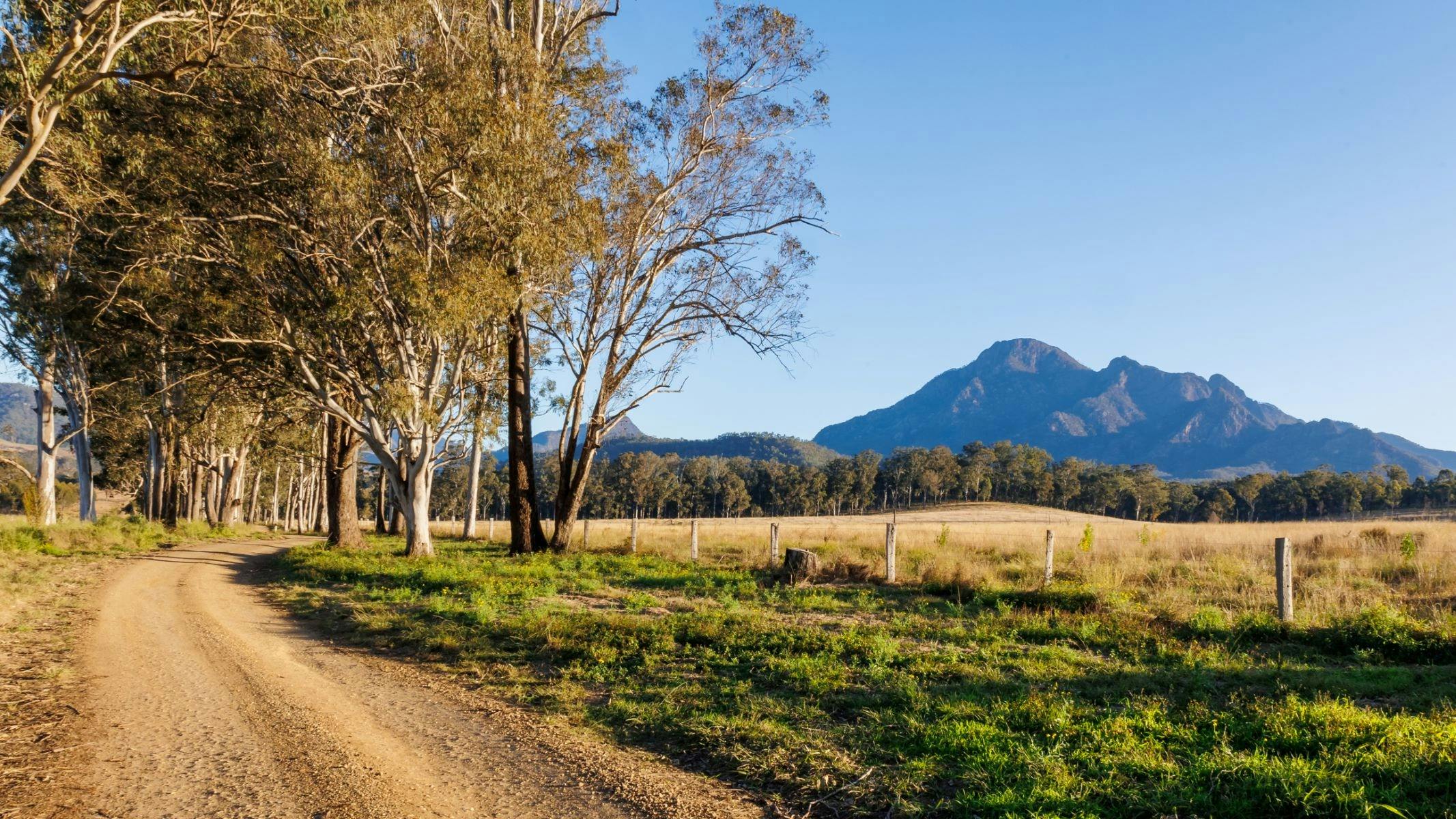 Barney Creek Vineyard Cottages - Cellar Door