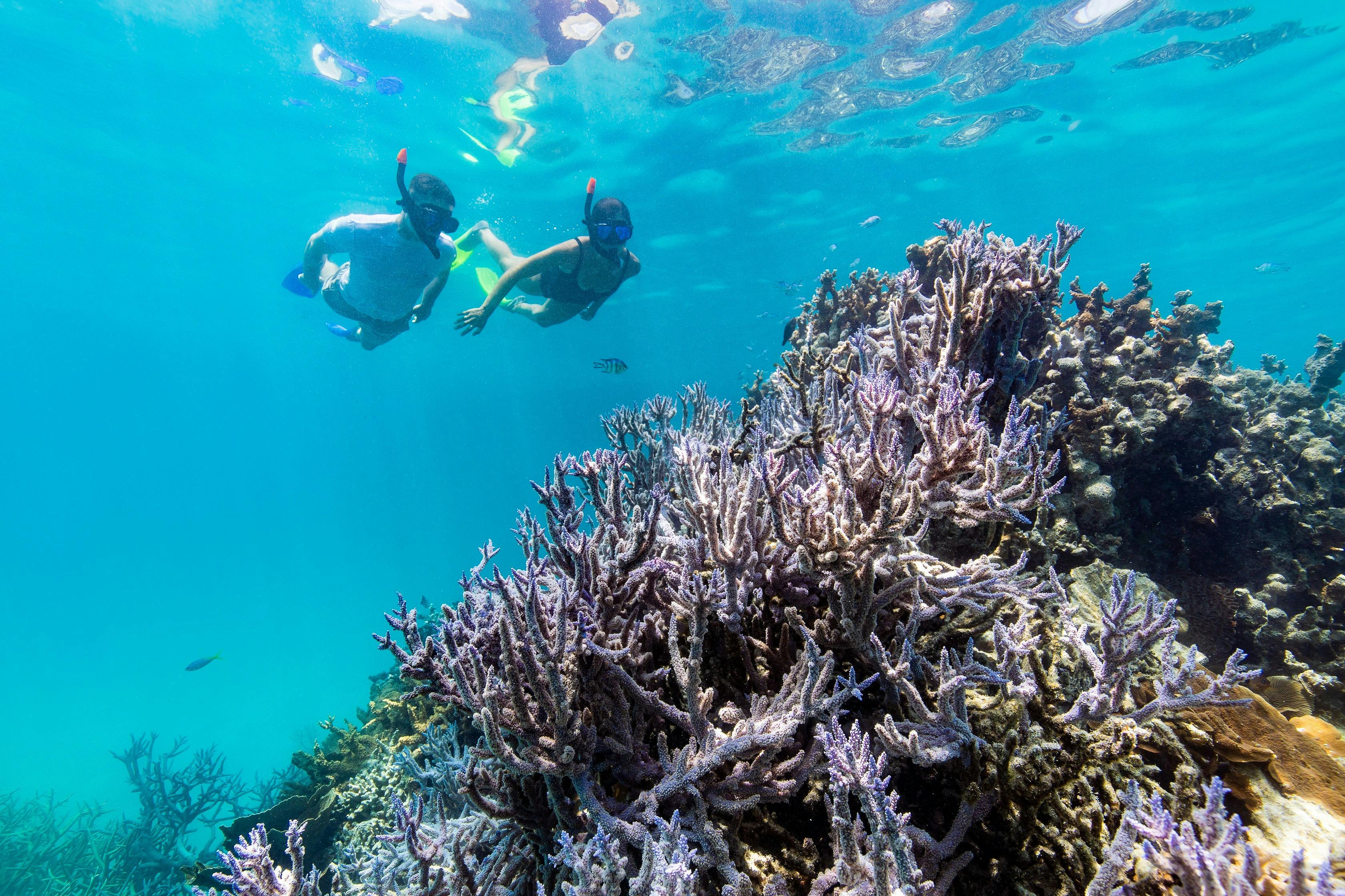 Hardy Reef