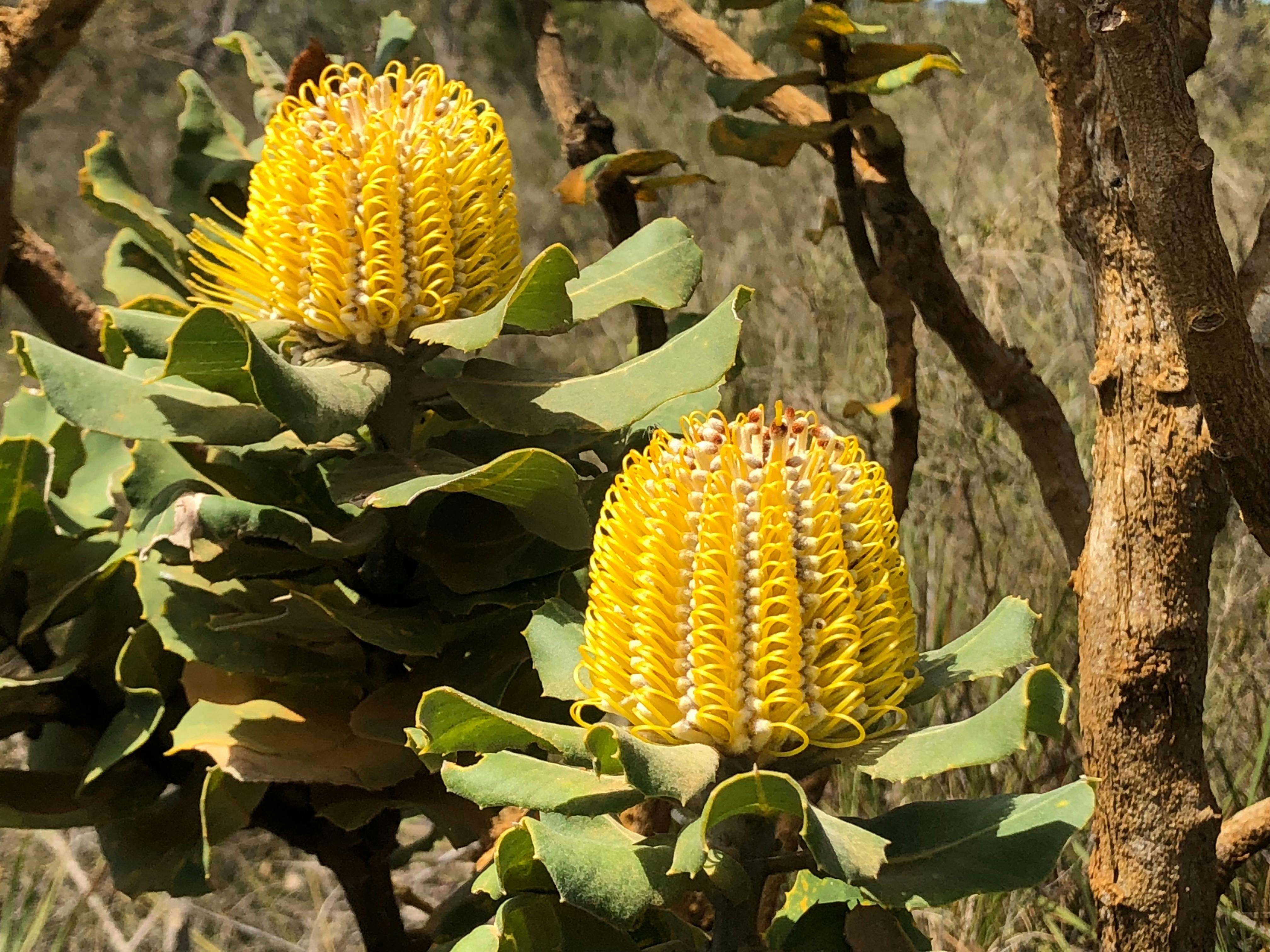 Luxury Outback Tours, Perth, Western Australia