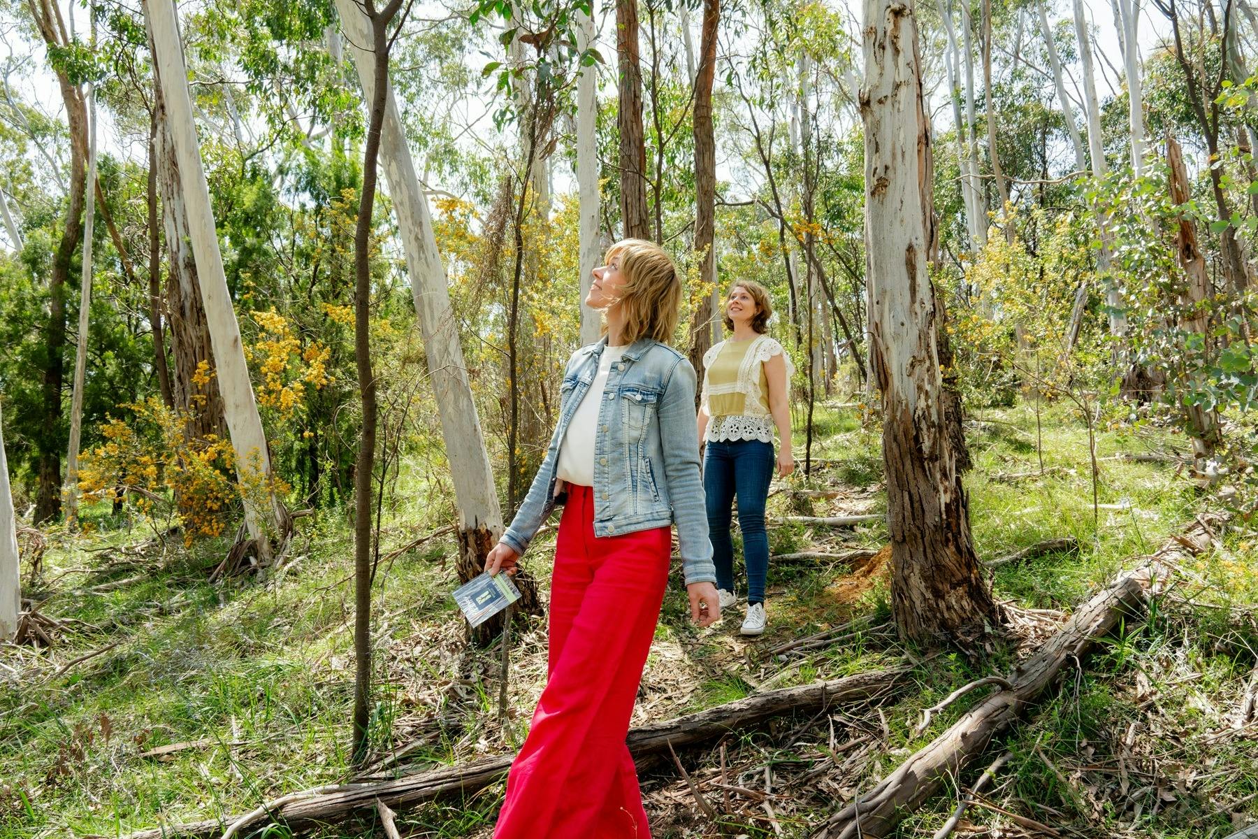 NATIVE PLANT PROPAGATION WORKSHOP AT SINCLAIRS GULLY