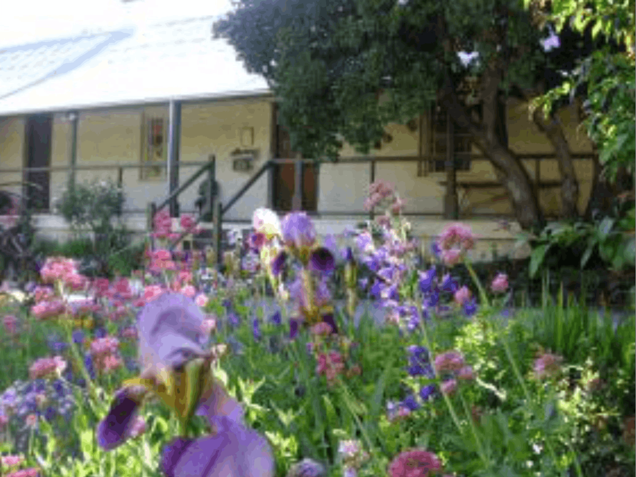 Raglan Art Award Exhibition