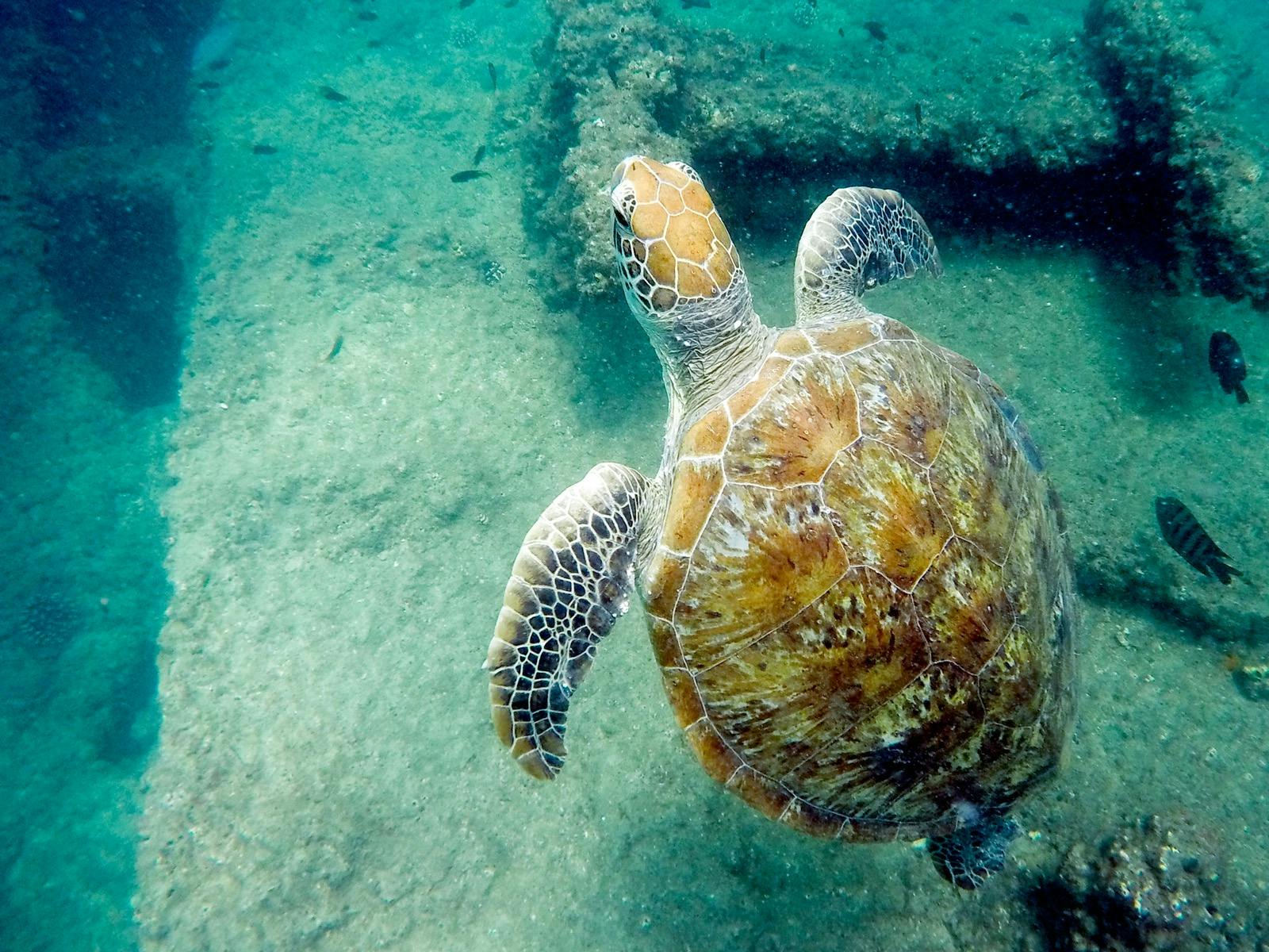 Marine Discovery Cruise