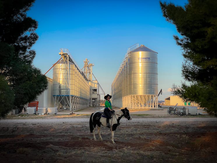 Horse Standing in Front of Grain Silos