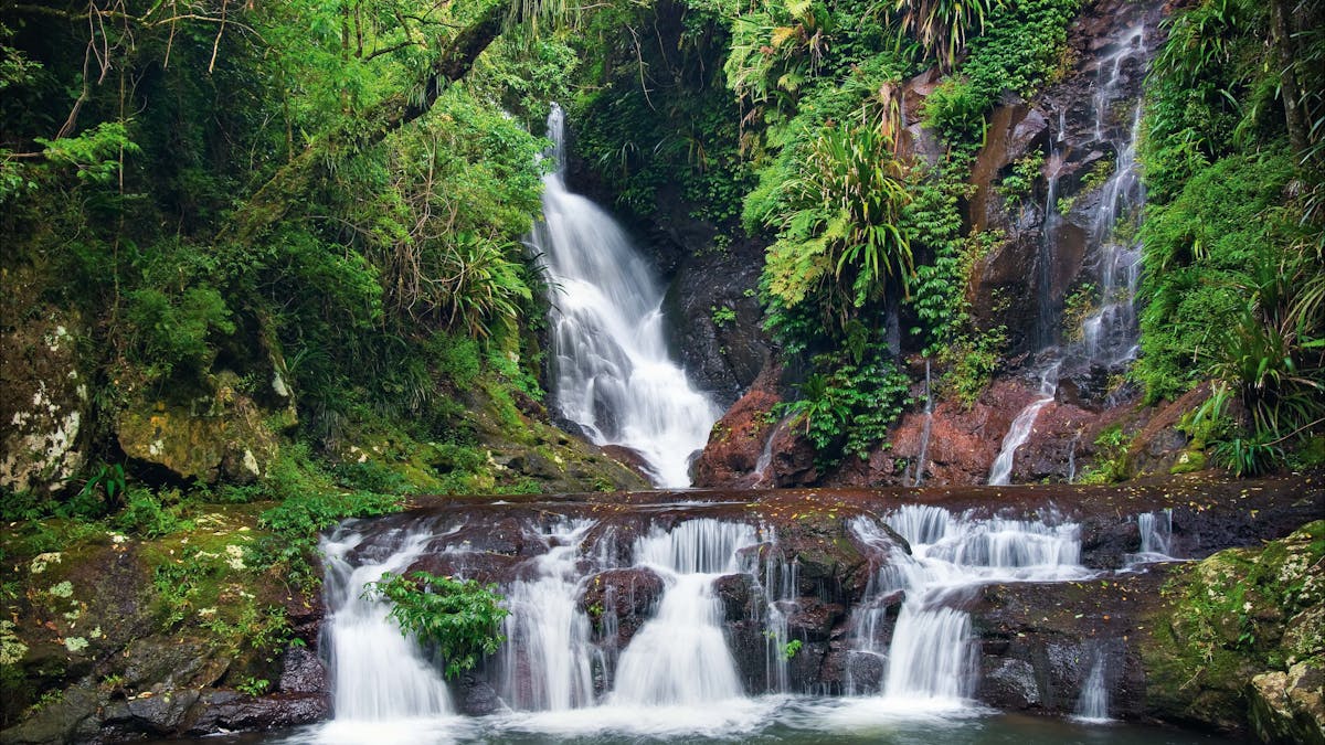 Waterfall in the rainforest Waterfall in the rainforest