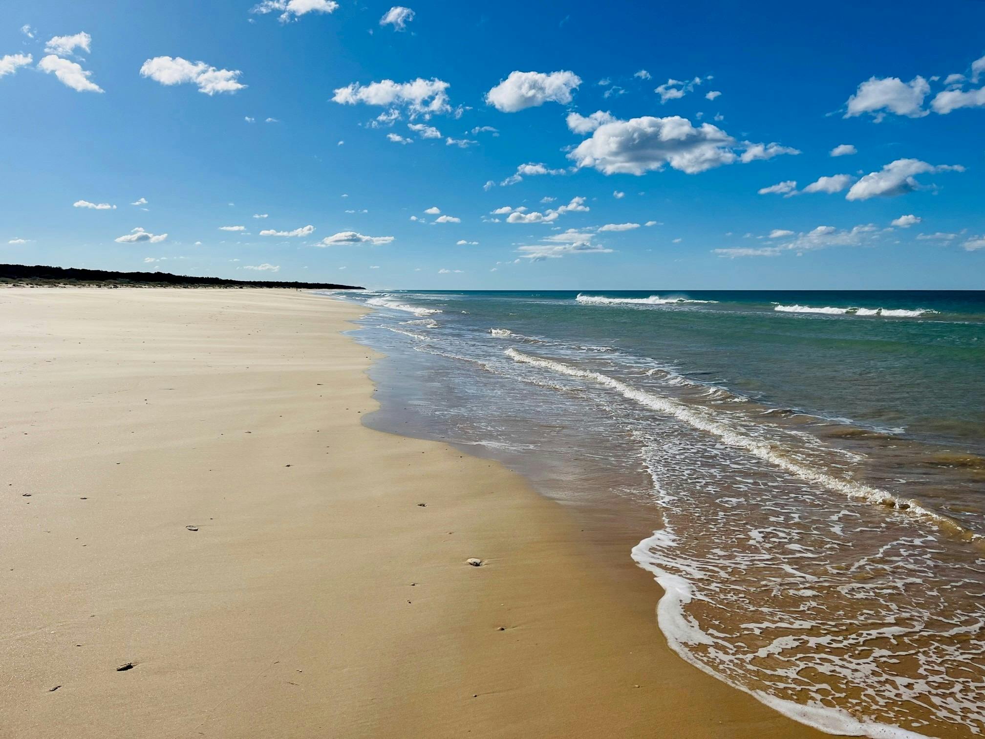 McLoughlin's Beach Jetty