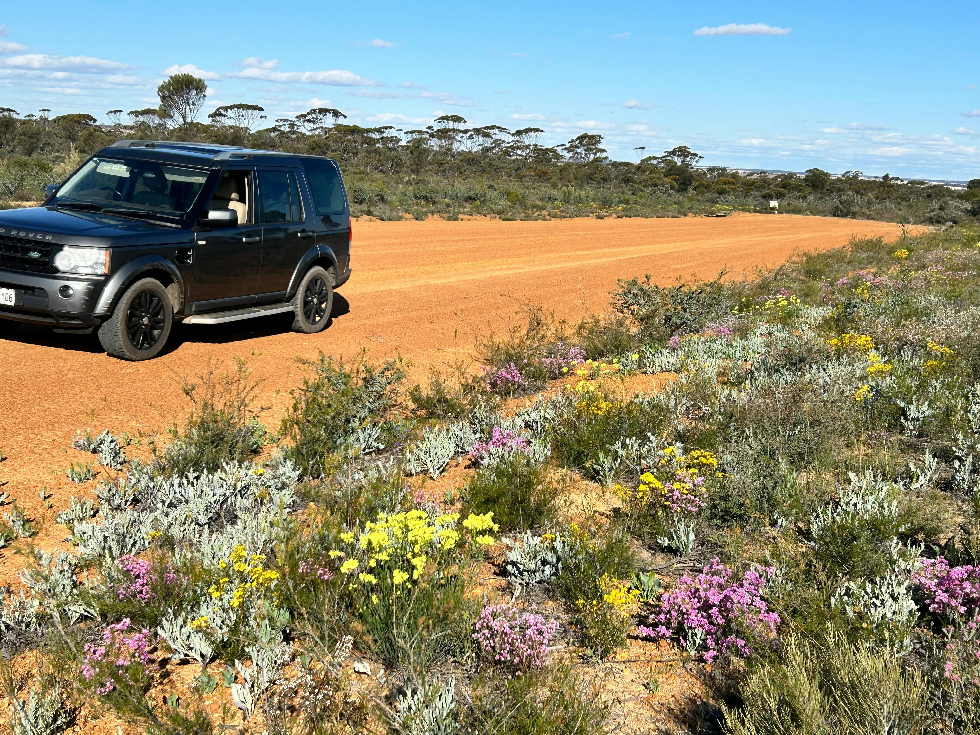 Perth Wildflower Tours