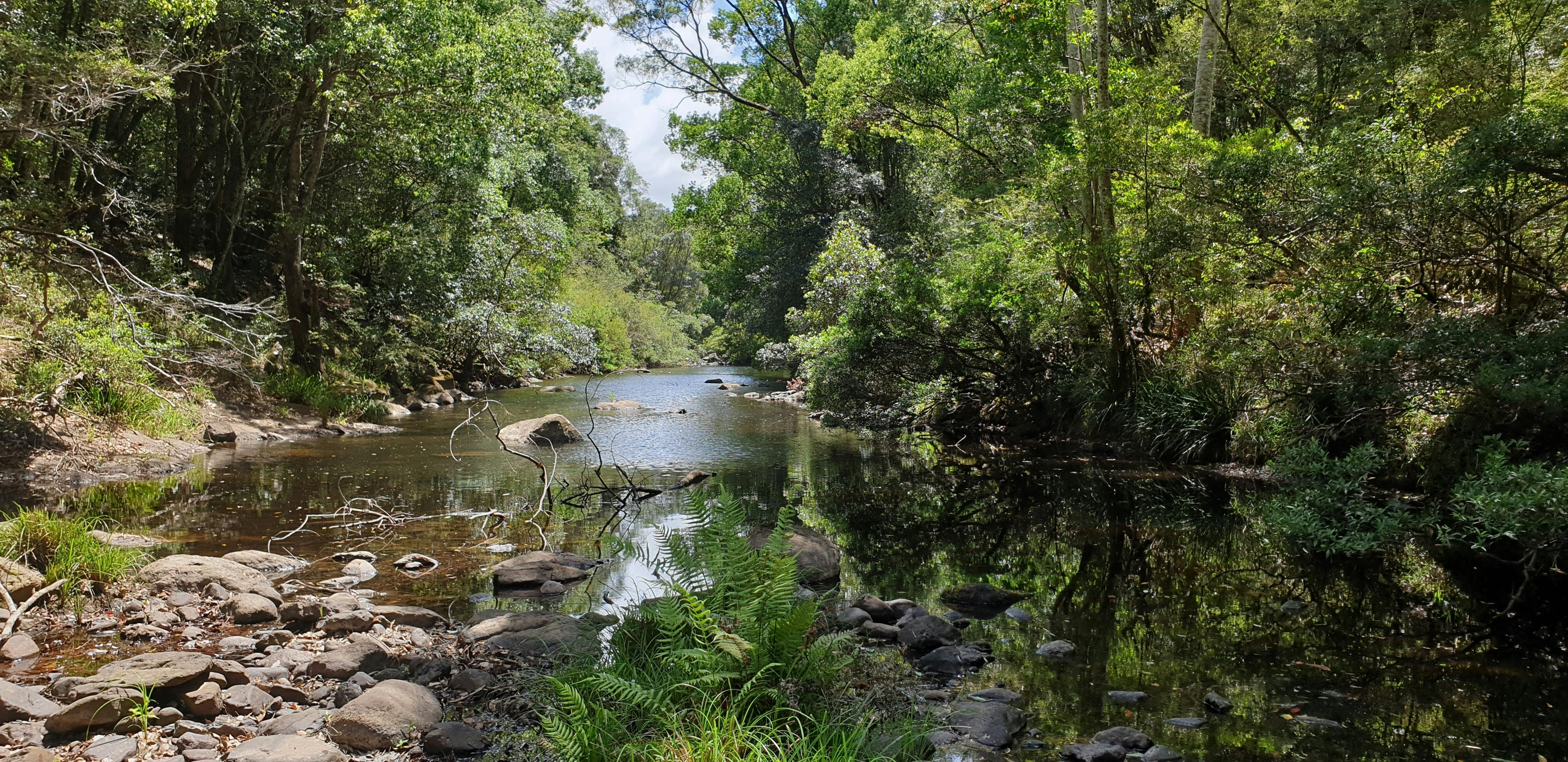 Coopers Creek