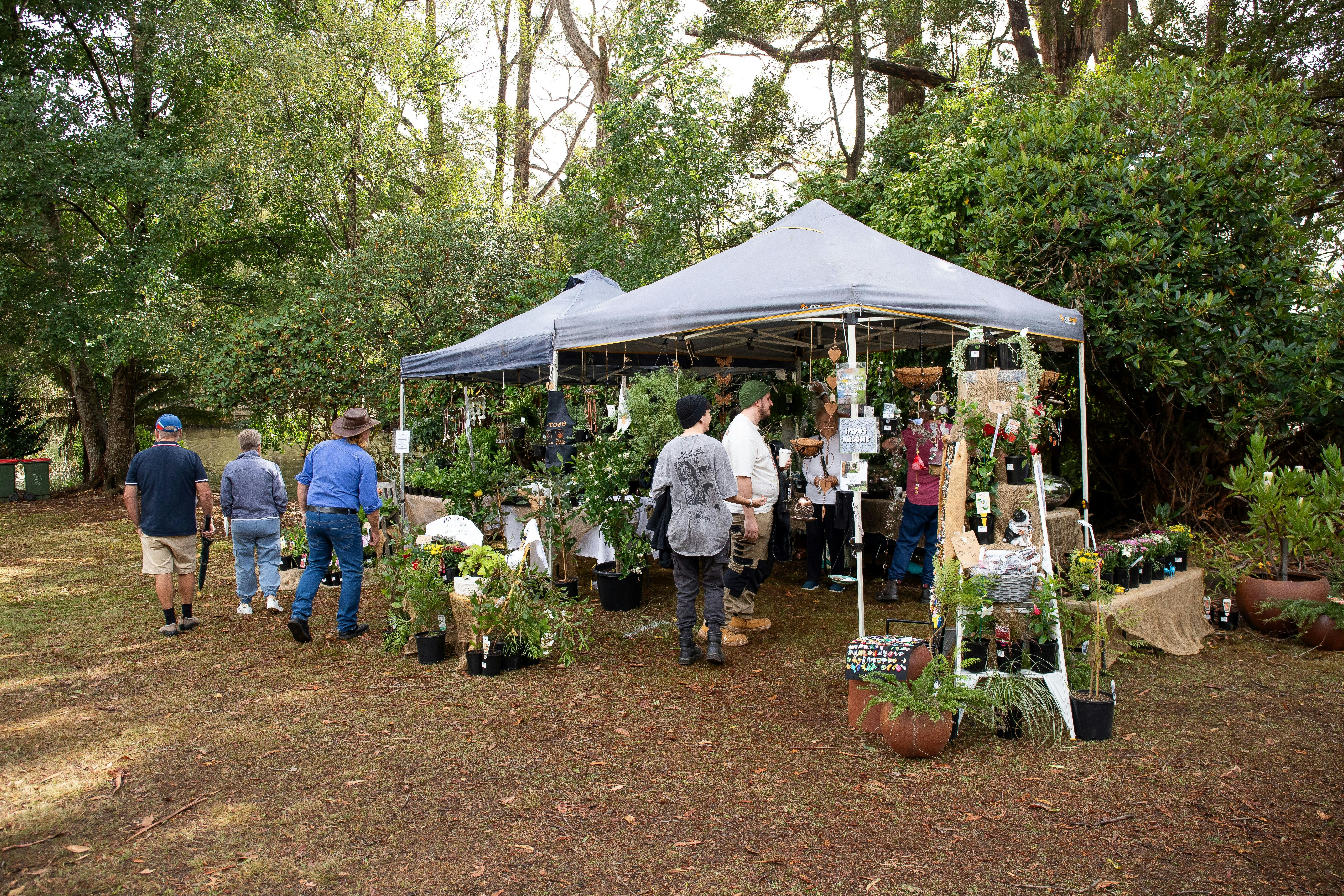 Gazebo covering plants for sale with browsing customers