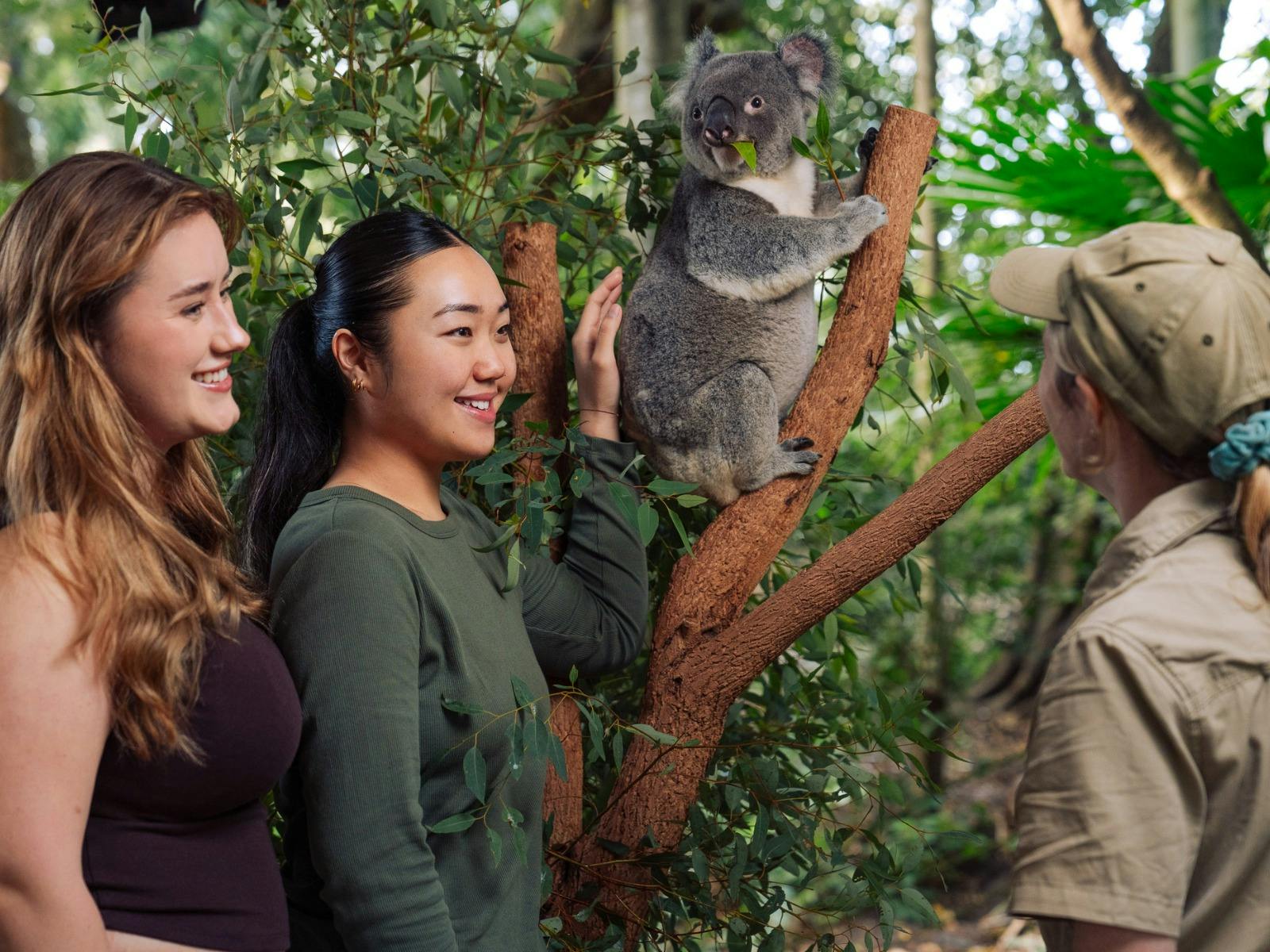 Guests participating in koala encounter