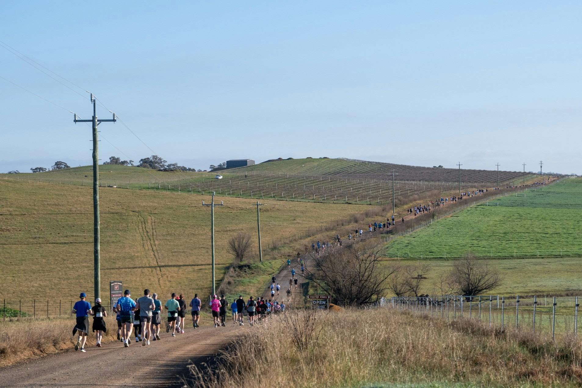 Mudgee Running Festival