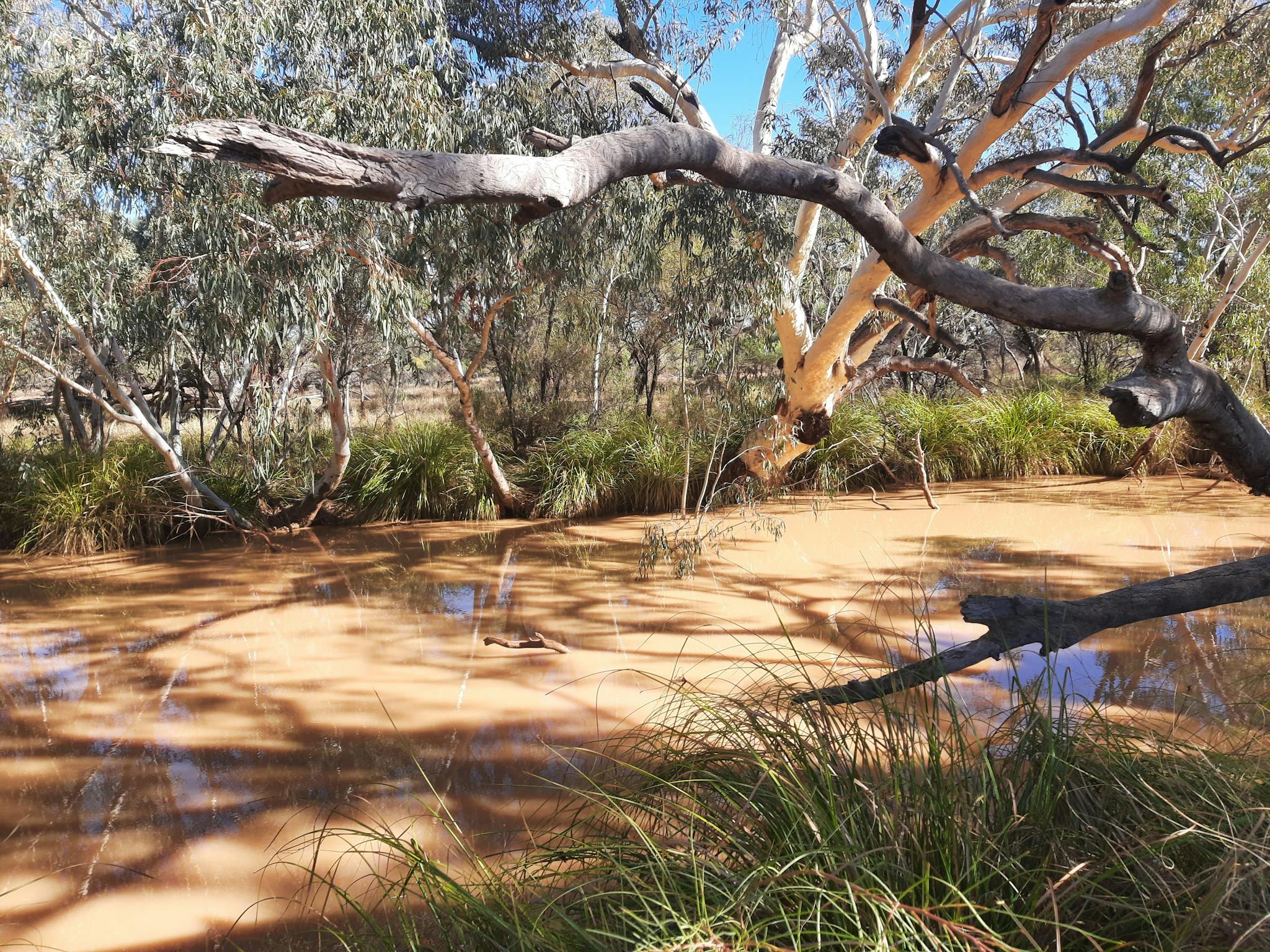 Camping on the river . Camping on the river .