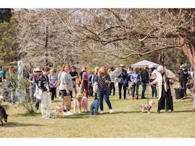 Dogs Day Out at Norman Lindesay Gallery in Faulconbridge Cover Image