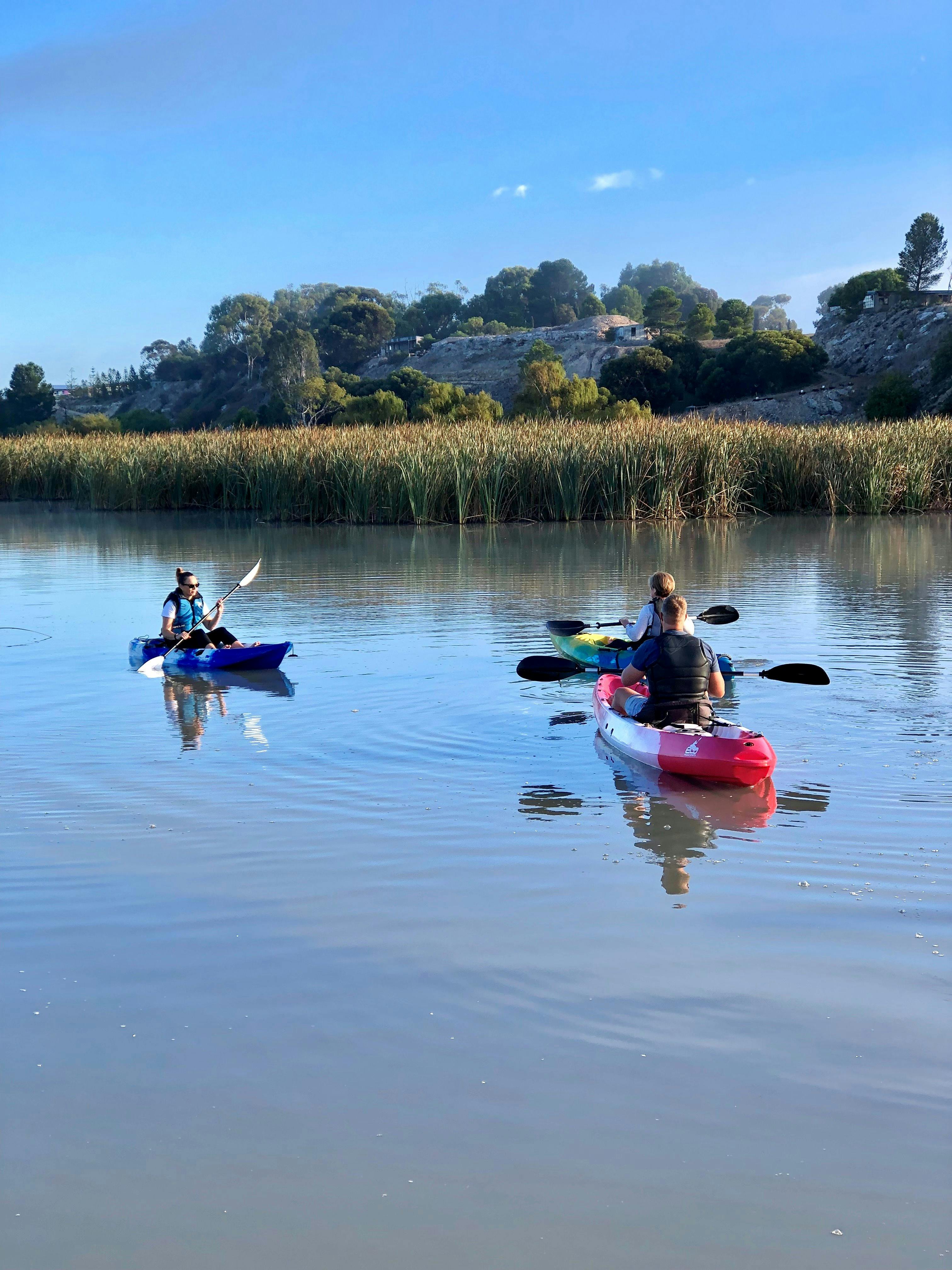 Lower Murray Canoe Trail