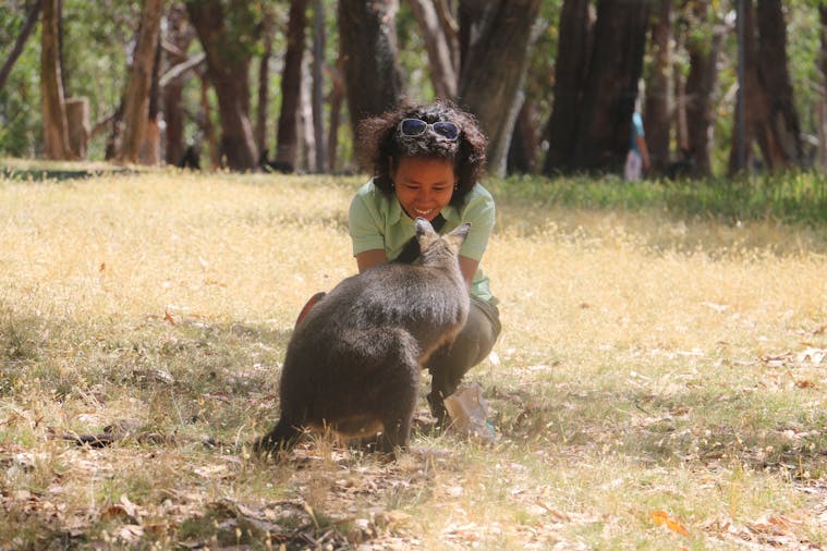 Cleland Wildlife Park Experience including Mount Lofty Summit