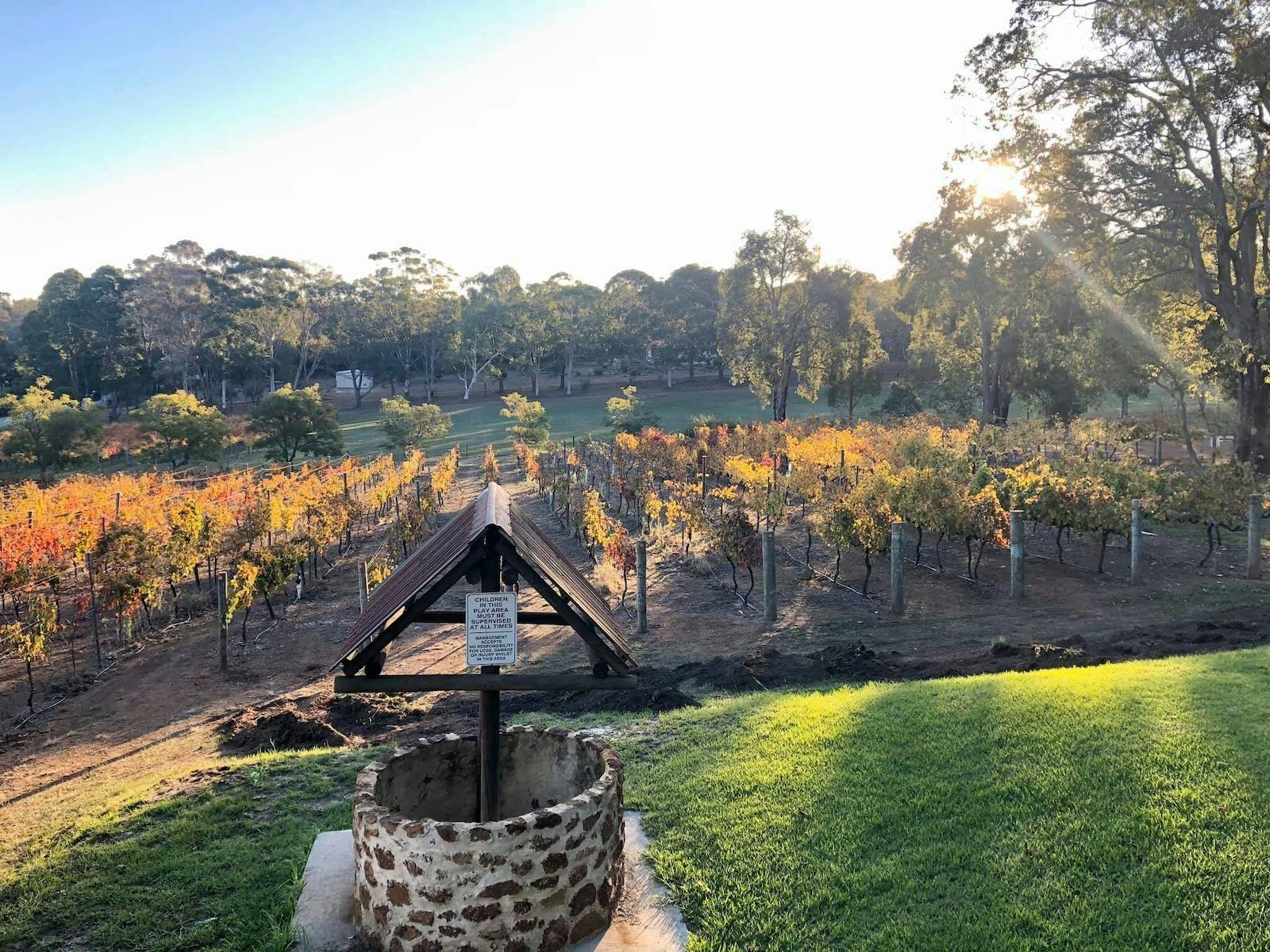 Fairbrossen Wines