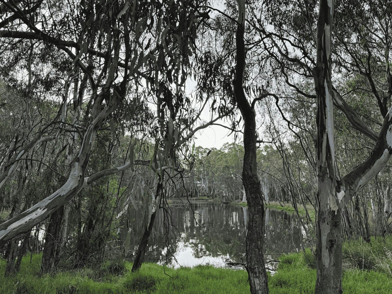 RJ Edwards公園