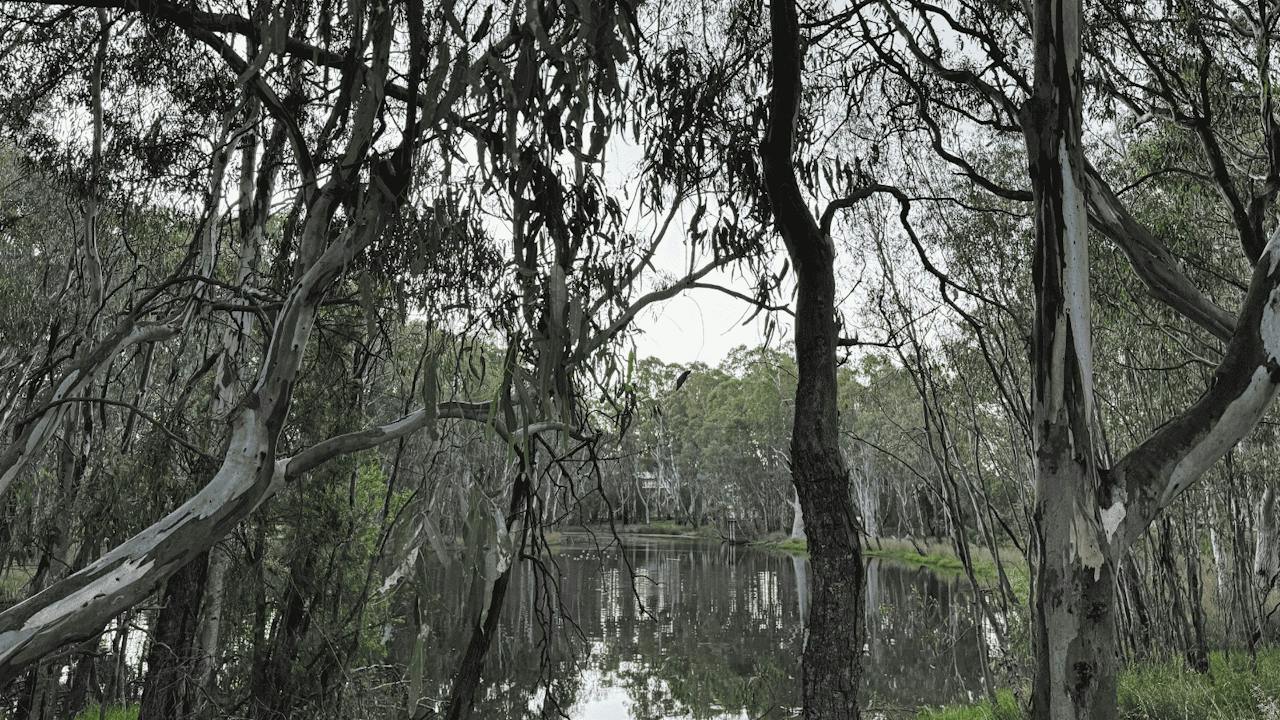 RJ Edwards Park lagoon