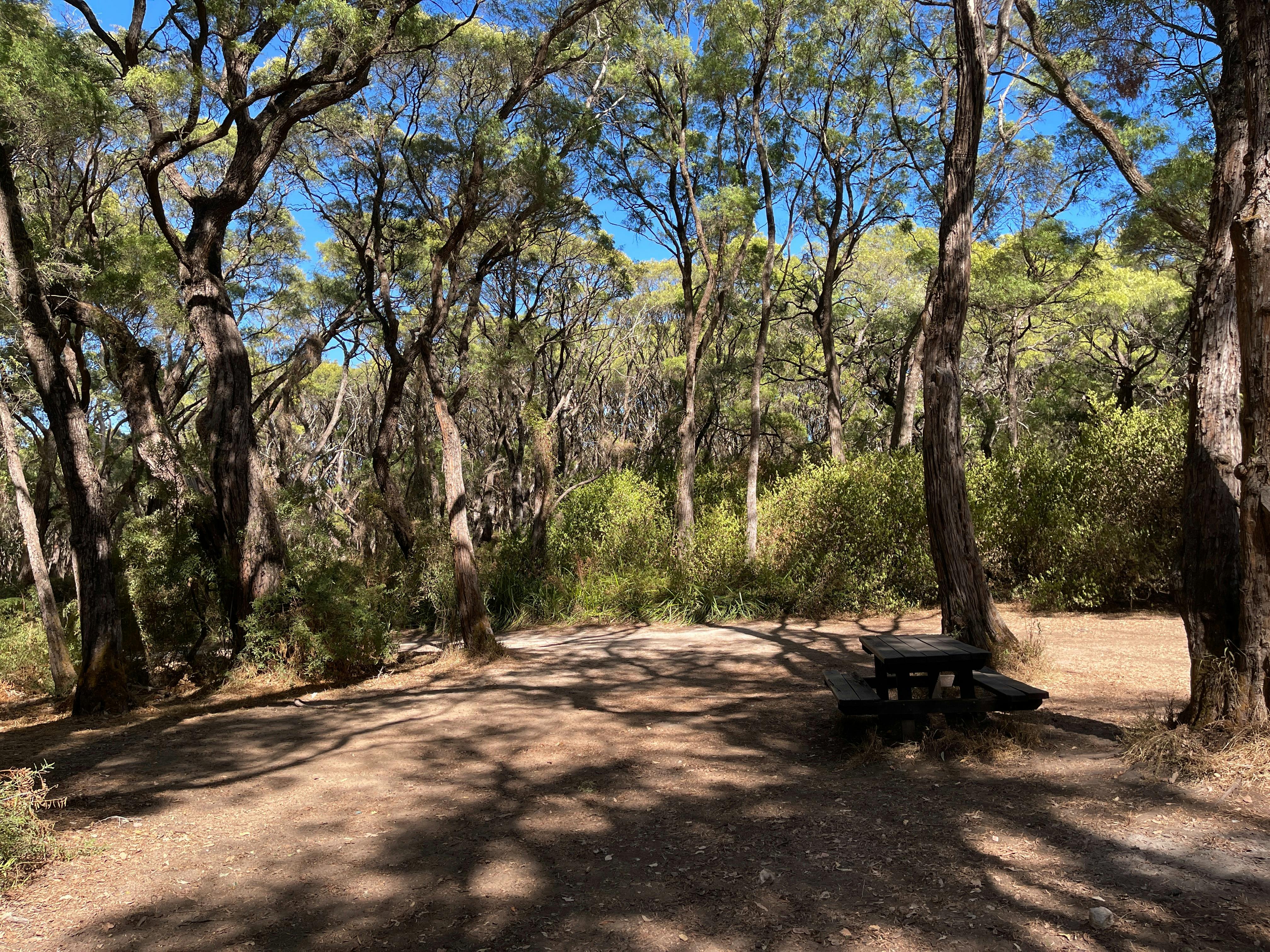 Boranup Campground
