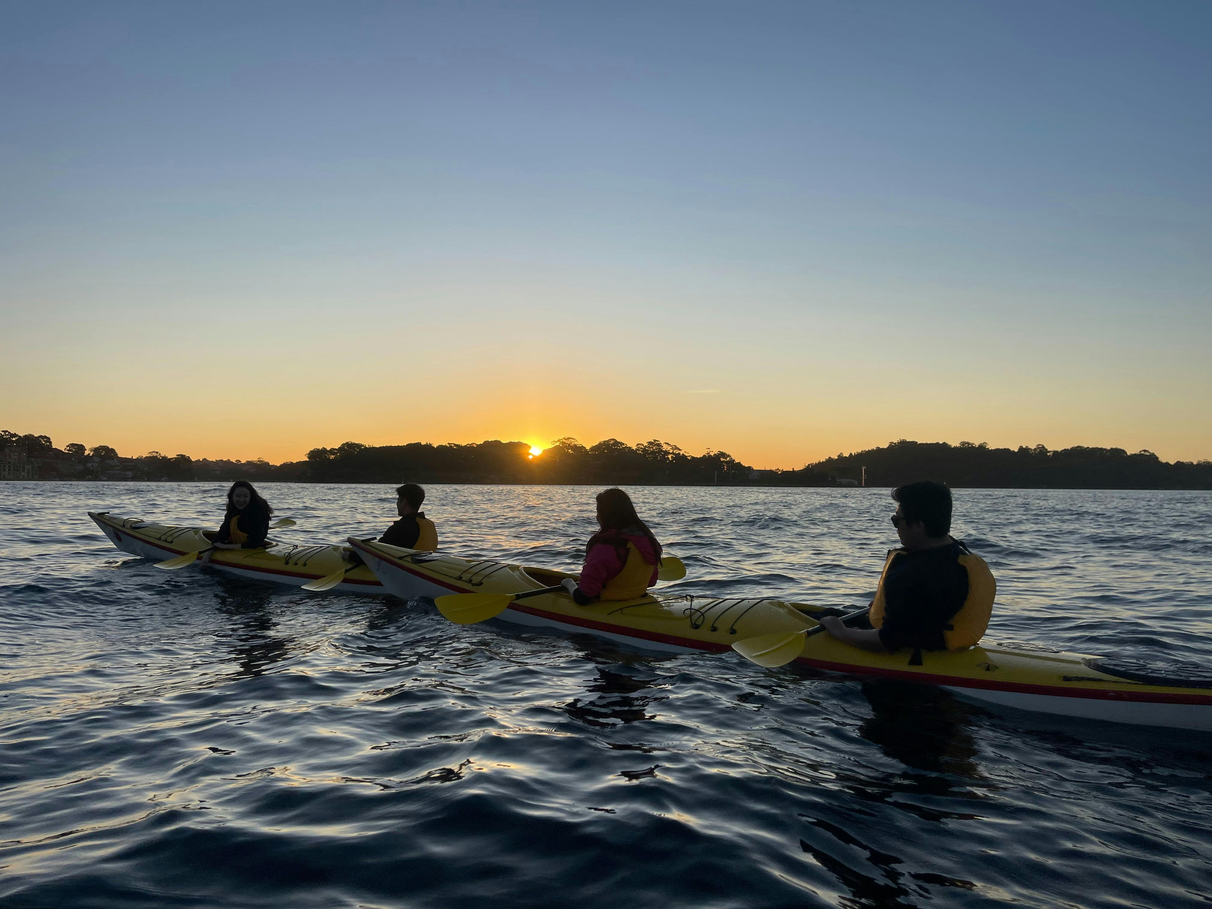 Sydney Harbour SUNDOWNER Kayaking Adventure