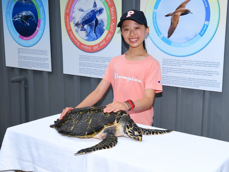 Young girl with sea turtle in marine animal hospital at Dolphin Marine Conservation Park