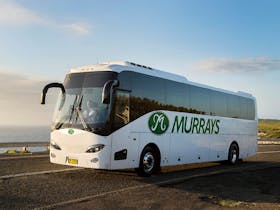 Murrays Coaches, Buses and Limousines