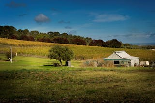 Coast to Vines Rail Trail