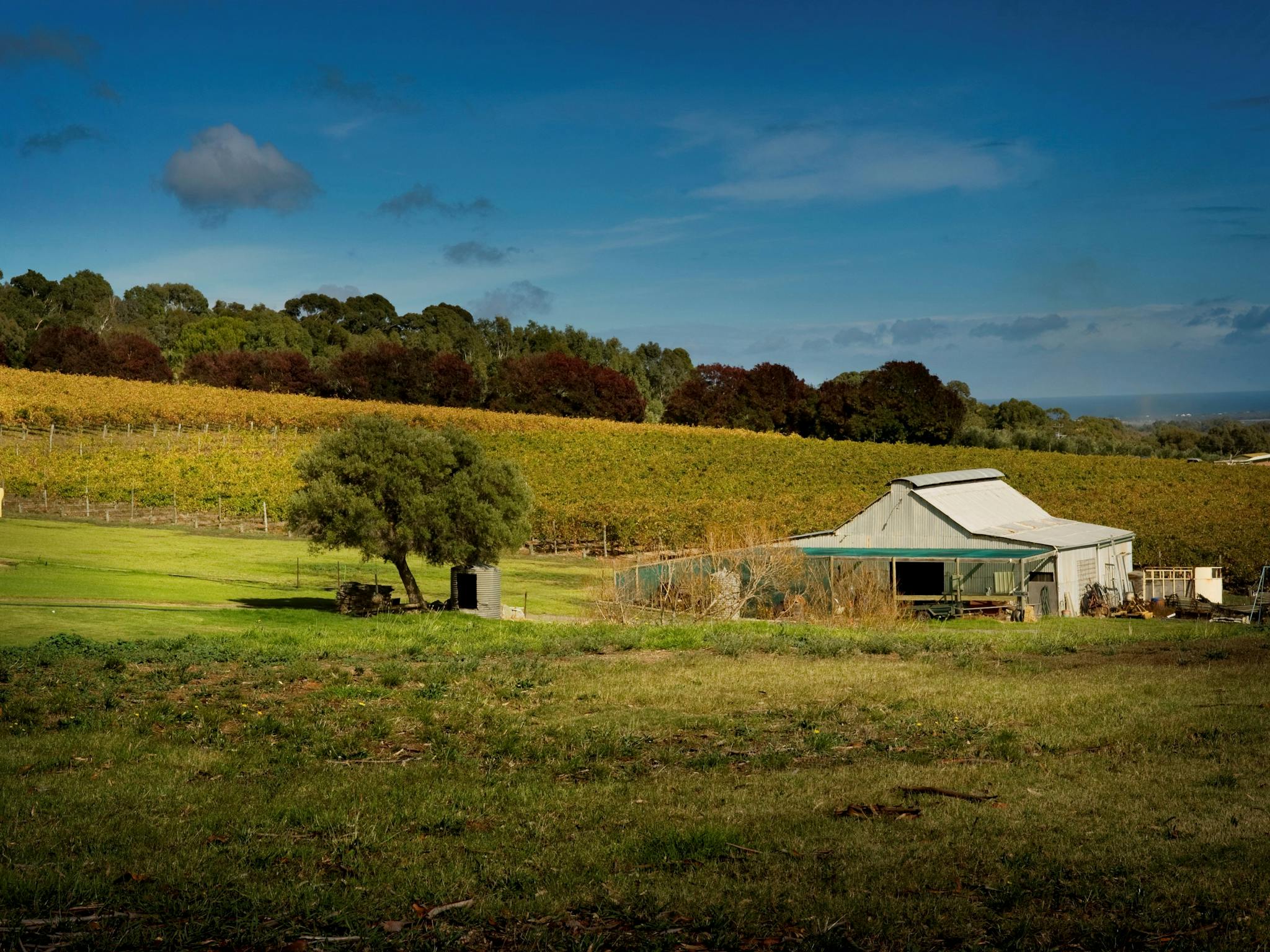 Coast to Vines Trail