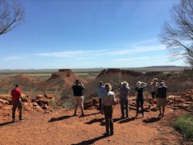 Red Dirt Tours