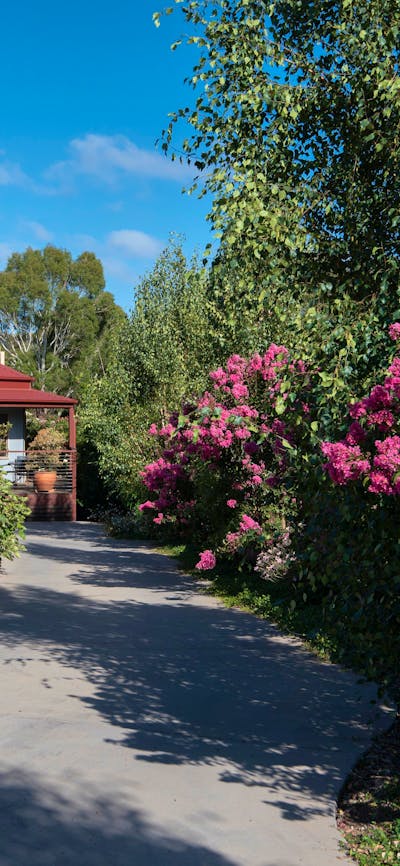 The Nest at Gundaroo