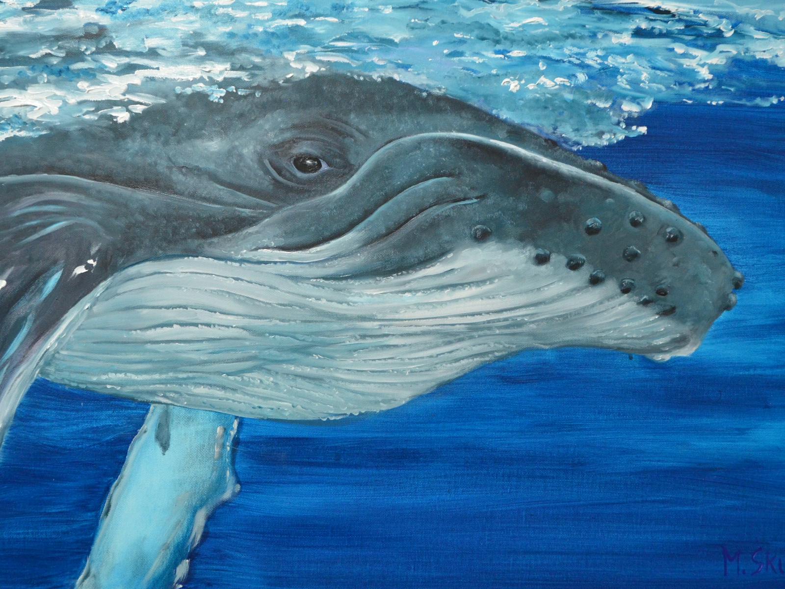 Image for Kiama Arts Trail