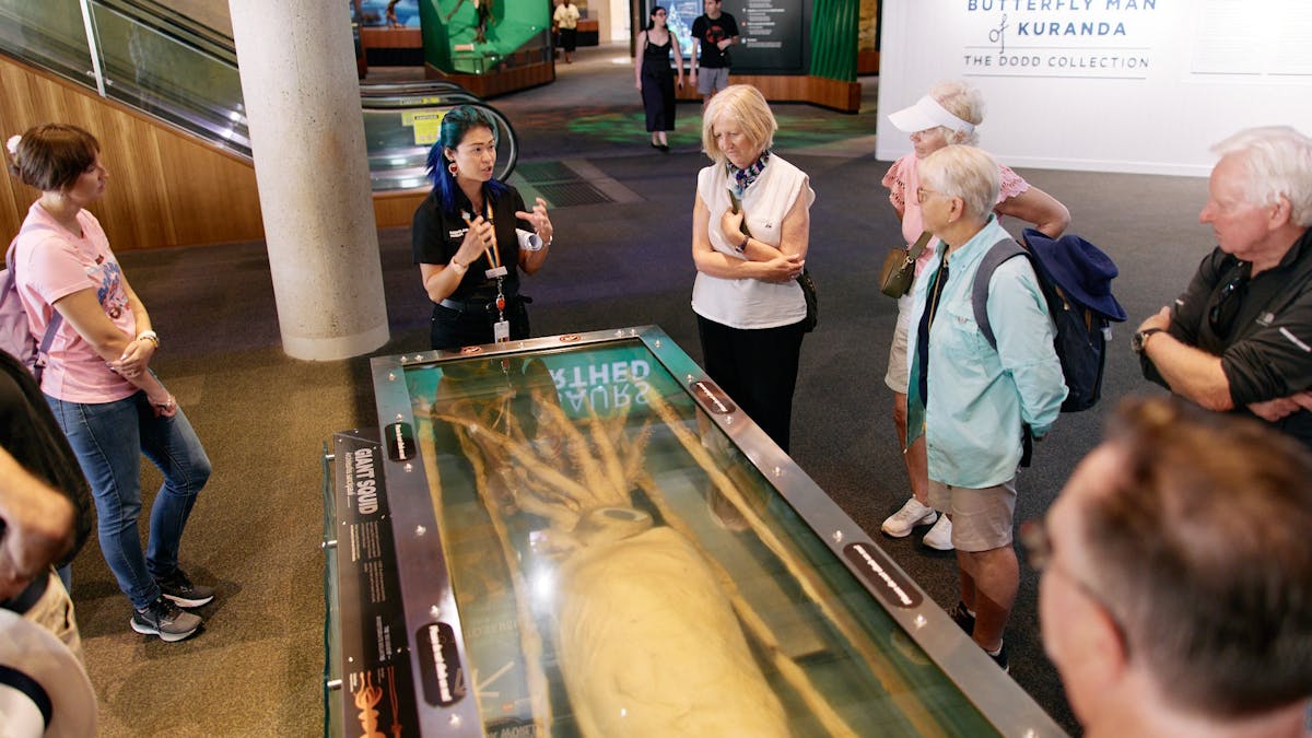 Museum guide leads tour