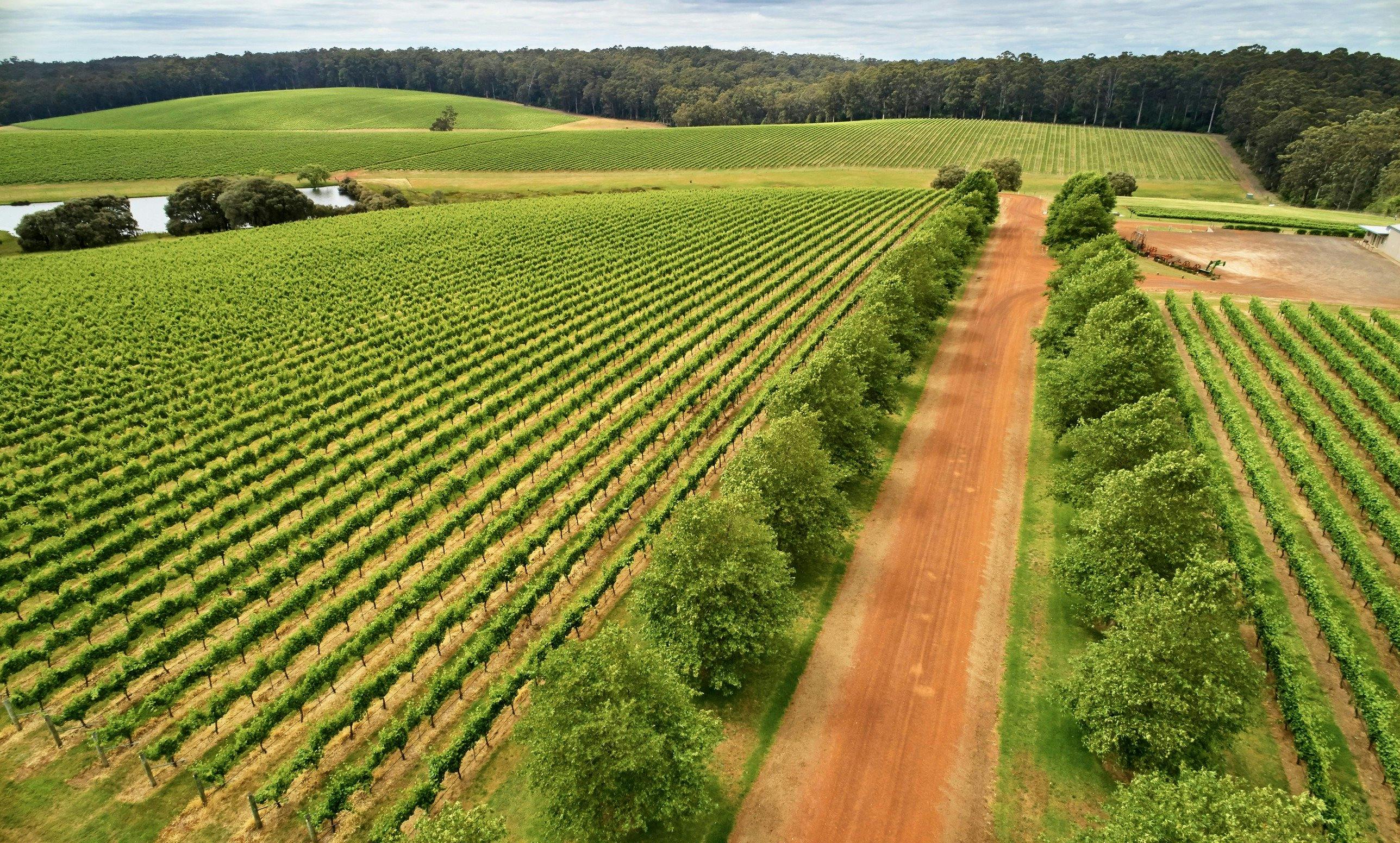 Pemberton, Western Australia