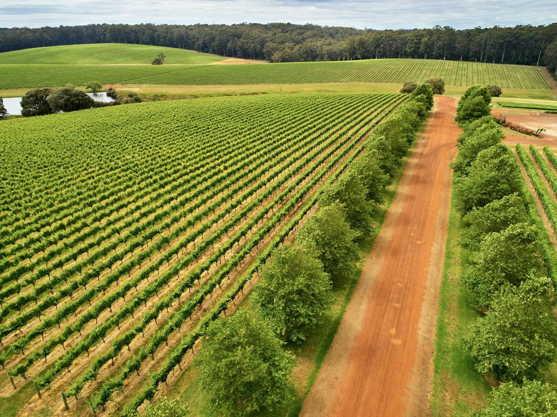 Pemberton, Western Australia