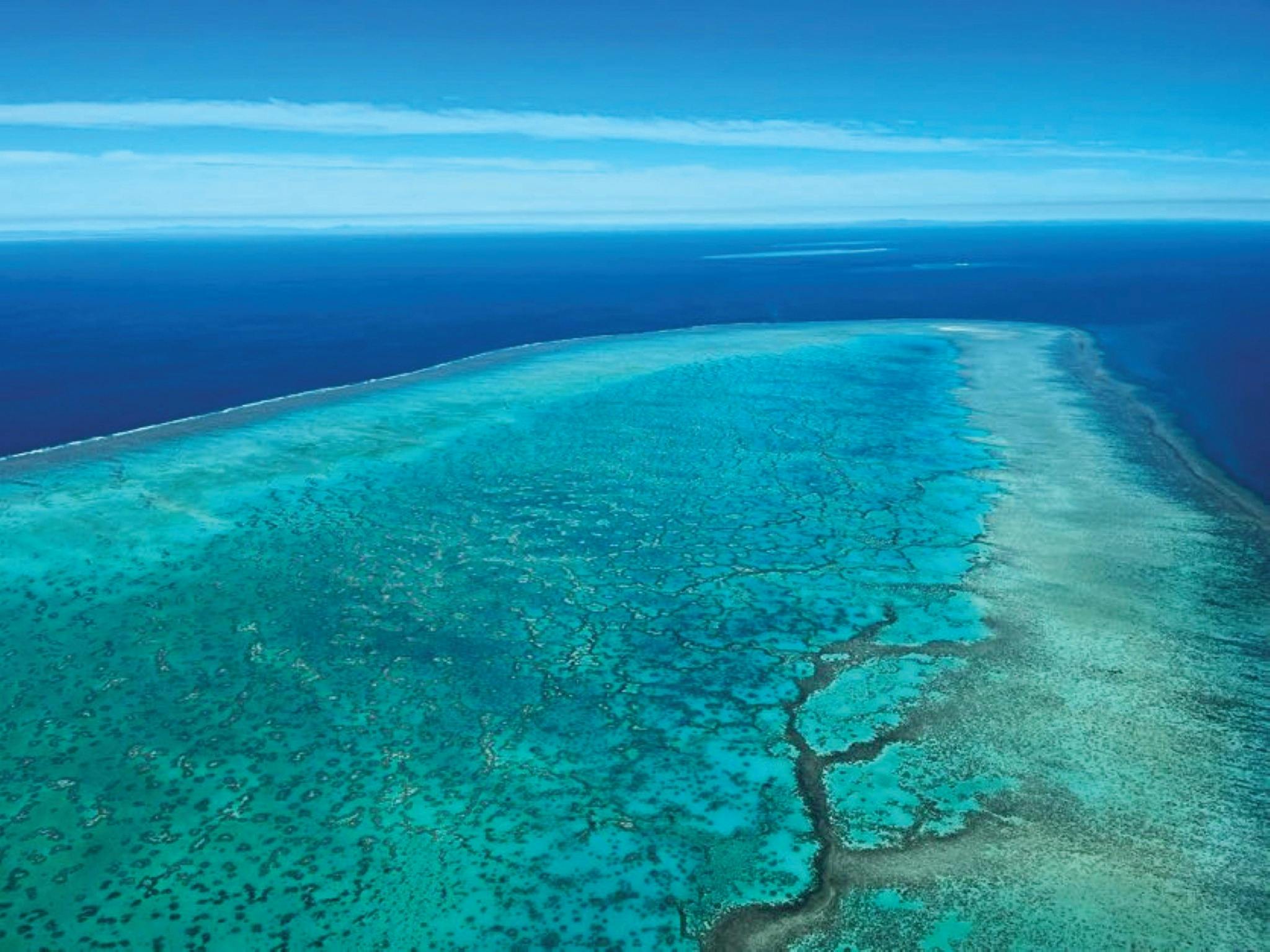 Islands of the Great Barrier Reef (7 days)