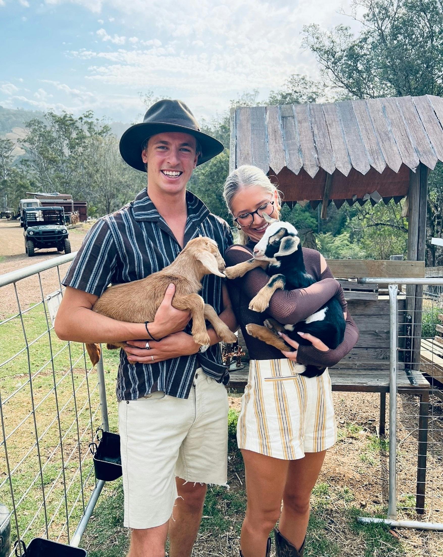 Baby Goats
