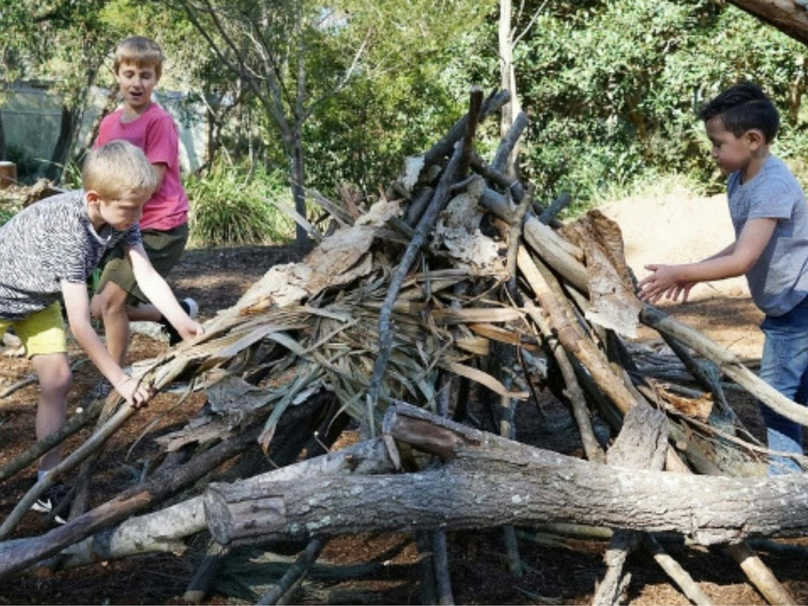 Image for Kids vs Wild: Survivor